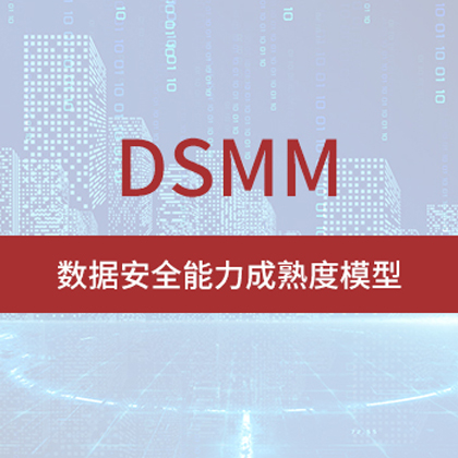 DSMM评估内容和方式是什么？